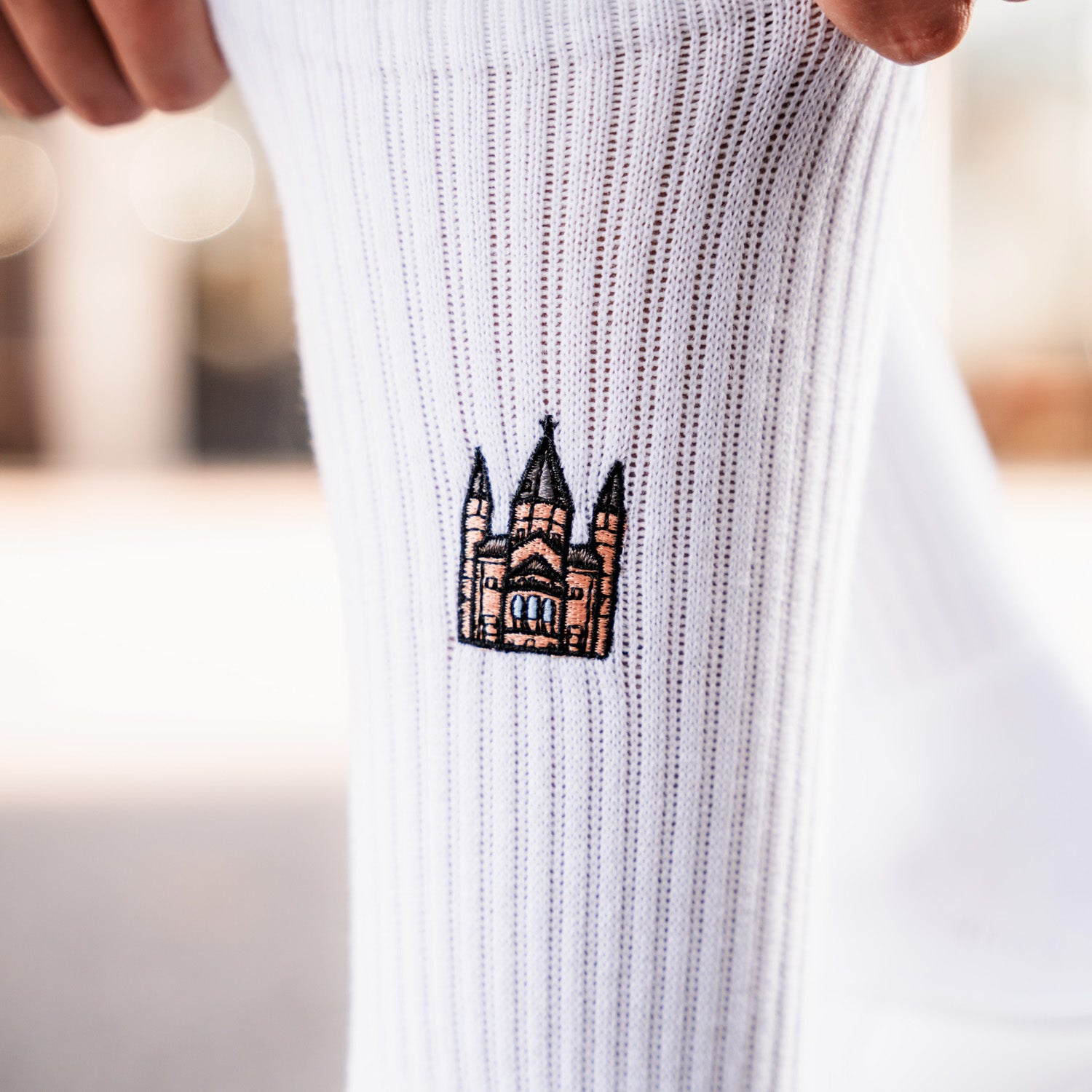 Dom Sportsocken, Mainz